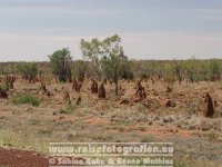 Australien | Northern Territory | Outback | Termitenhügel |
