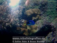 Australien | Queensland | Townsville | Reef HQ |