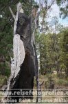 Australien | Western Australia | Bunbury |