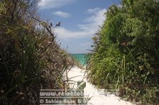 Australien | Western Australia | Albany | Emu Beach |