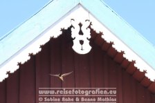 Litauen | Kurische Nehrung | Nida |