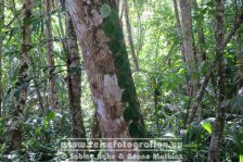 Costa Rica | Provinz Limón | Cahuita | Nationalpark Cahuita |