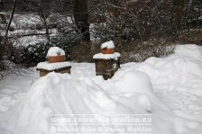 Deutschland | Nordrhein-Westfalen | Ostwestfalen-Lippe | Bielefeld | Bielefeld-Gadderbaum |