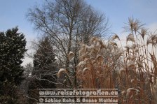 Deutschland | Nordrhein-Westfalen | Ostwestfalen-Lippe | Bielefeld | Bielefeld-Gadderbaum |