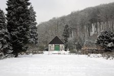 Deutschland | Nordrhein-Westfalen | Ostwestfalen-Lippe | Bielefeld | Bielefeld-Gadderbaum | Botanischer Garten Bielefeld |