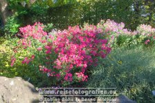 Deutschland | Niedersachsen | Hannover | Herrenhäuser Gärten | Berggarten |