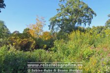 Deutschland | Niedersachsen | Hannover | Herrenhäuser Gärten | Berggarten |