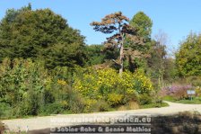 Deutschland | Niedersachsen | Hannover | Herrenhäuser Gärten | Berggarten |