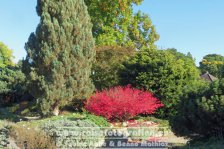 Deutschland | Niedersachsen | Hannover | Herrenhäuser Gärten | Berggarten |