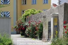 Deutschland | Bayern | Wasserburg (Bodensee) |