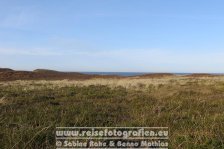 Deutschland | Schleswig-Holstein | Sylt | Wenningstedt-Braderup |