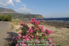 Griechenland | Peloponnes | Agios Nikolaos |