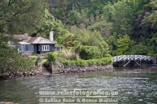 Irland | Munster | Ring of Beara | Glengarriff | Bamboo Garden |