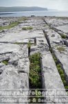 Irland | Munster | Burren |