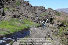 Island | Suðurland | Lögberg |