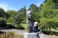 Island | Norðurland eystra | Akureyri | Botanischer Garten |