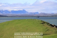 Island | Norðurland eystra | Skútustaðir |