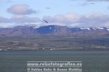 Island | Norðurland eystra | Skútustaðir |