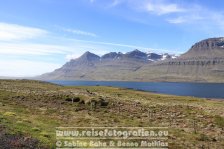 Island | Austurland | Berufjörður |