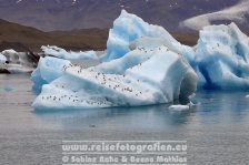 Island | Austurland | Jökulsárlón |