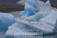 Island | Austurland | Jökulsárlón |