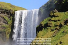 Island | Suðurland | Skógafoss |