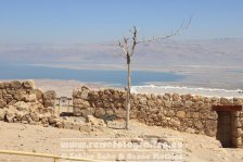 Israel | Südbezirk | Masada |