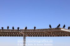 Israel | Südbezirk | Masada |