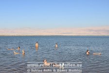 Israel | Südbezirk | En Bukek | Totes Meer |