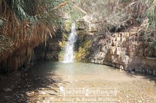 Israel | Südbezirk | Negev | En Gedi |