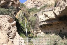 Israel | Südbezirk | Negev | En Gedi |