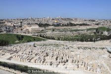 Israel | Jerusalem | Blick vom Ölberg auf den Tempelberg | 