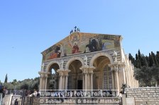 Israel | Jerusalem | Kirche der Nationen auf dem Ölberg | 