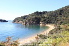 Japan | Naoshima | Shikoku |