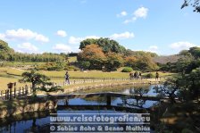 Japan | Honshū | Chūgoku | Okayama | Kōraku-en |