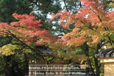 Japan | Honshū | Kinki/Kansai | Kyōto | Kinkaku-ji |