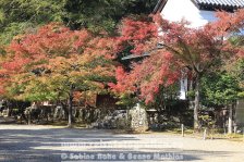 Japan | Honshū | Kinki/Kansai | Kyōto | Jingo-ji |