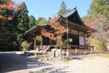 Japan | Honshū | Kinki/Kansai | Kyōto | Jingo-ji |