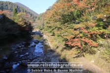 Japan | Honshū | Kinki/Kansai | Kyōto | Wanderung am Kiyotaki Kawa |