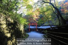 Japan | Honshū | Kinki/Kansai | Kyōto | Wanderung am Kiyotaki Kawa |