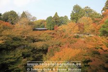 Japan | Honshū | Kinki/Kansai | Kyōto | Tōfuku-ji |