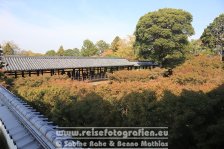 Japan | Honshū | Kinki/Kansai | Kyōto | Tōfuku-ji |