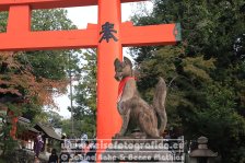 Japan | Honshū | Kinki/Kansai | Kyōto |  Fushimi Inari-Taisha |