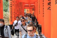 Japan | Honshū | Kinki/Kansai | Kyōto |  Fushimi Inari-Taisha |