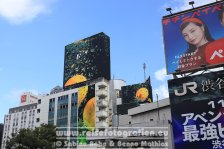 Japan | Honshū | Kantō | Tokio | Shibuya Crossing |