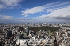 Japan | Honshū | Kantō | Tokio | Auf dem Shibuya Scramble Tower |