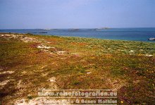 Kanalinseln | Bailiwick Guernsey | Herm |