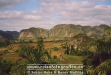 Kuba | Pinar del Río | Valle de Viñales |