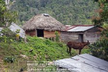 Kuba | Granma | Sierra Maestra |