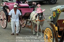 Mexiko | Yucatán Halbinsel | Bundesstaat Yucatán | Izamal |